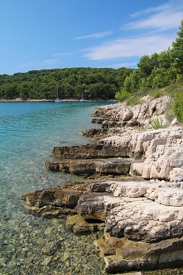 C19875 26-07-2014 uvala Piškera.jpg